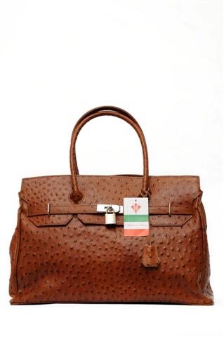 ����-���������� �����